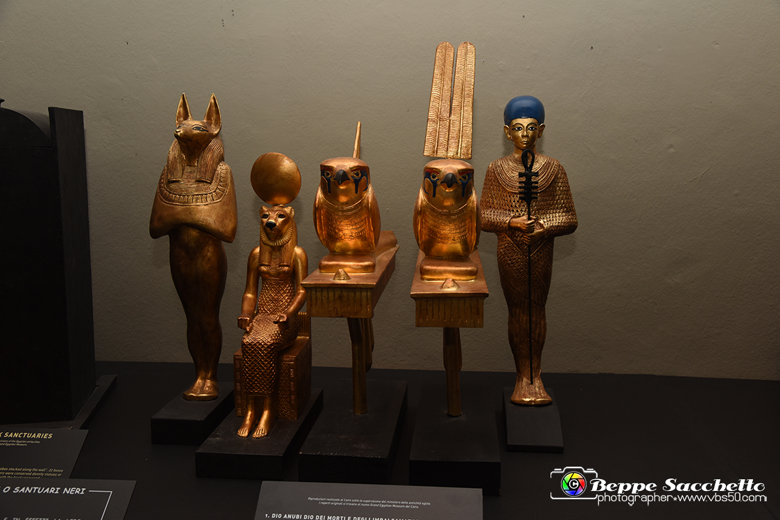 VBS_5212 - Tutankhamon - Viaggio verso l'eternità.jpg